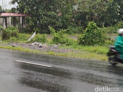 Tabrak Pasutri di Kalibawang hingga Tewas, Sopir Truk Diduga Ngantuk