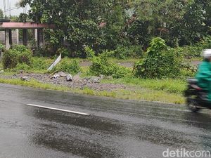 Tabrak Pasutri di Kalibawang hingga Tewas, Sopir Truk Diduga Ngantuk Tabrak Pasutri di Kalibawang hingga Tewas, Sopir Truk Diduga Ngantuk