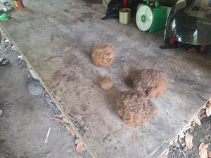 Bukan Granat, Ini Penampakan Benda yang Hebohkan Warga Babar