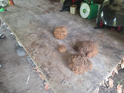 Bukan Granat, Ini Penampakan Benda yang Hebohkan Warga Babar