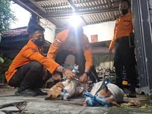 TBC Sebabkan Kematian Yohanes Lalu Jasadnya Digigit Anjing Peliharaan TBC Sebabkan Kematian Yohanes Lalu Jasadnya Digigit Anjing Peliharaan