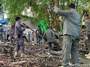 Satpol PP Pontianak Bongkar Puluhan Kios PKL di Jalan Husein Hamzah Satpol PP Pontianak Bongkar Puluhan Kios PKL di Jalan Husein Hamzah