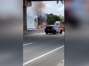 Video: Pesawat Kecil Jatuh dan Terbakar di Florida, Seluruh Penumpang Tewas