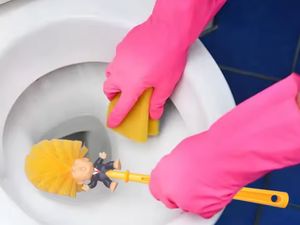 Ramai Toko Online Asal China Jual Sikat WC Karakter Donald Trump Ramai Toko Online Asal China Jual Sikat WC Karakter Donald Trump
