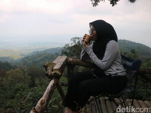 Serunya Petik dan Seduh Kopi dari Kebun Sambil Menikmati Puncak Muria Serunya Petik dan Seduh Kopi dari Kebun Sambil Menikmati Puncak Muria