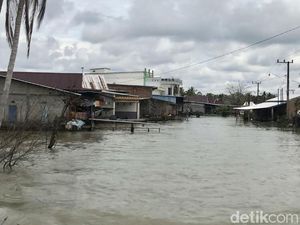 787 Rumah di Malangke Lutra Setahun Terendam Banjir gegara Tanggul Jebol 787 Rumah di Malangke Lutra Setahun Terendam Banjir gegara Tanggul Jebol