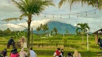 Syahdu! 5 Coffee Shop di Jogja yang Punya View Hamparan Sawah