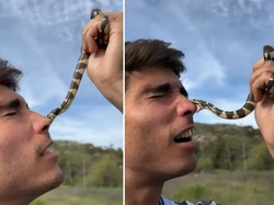 Viral Video Hidung Pria Digigit Ular Saat Ngonten Bikin Kaget