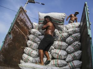 Melihat Kesibukan Buruh Panggul Kopra di Pelabuhan Bastiong Ternate Melihat Kesibukan Buruh Panggul Kopra di Pelabuhan Bastiong Ternate