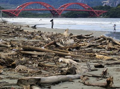 Sampah Batang Kayu Kotori Pantai Holtekamp Jayapura