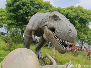 Petualangan di Kapal Hantu dan Hutan Dinosaurus Pantai Lampung Selatan Petualangan di Kapal Hantu dan Hutan Dinosaurus Pantai Lampung Selatan