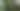 Hutan dinosaurus di wisata Jungle Sea Lampung (Tommy Saputra/detikcom)