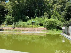 Wisata Kolam Renang Milik Pemkot Parepare Sudah 5 Tahun Terbengkalai