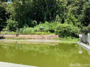 Wisata Kolam Renang Milik Pemkot Parepare Sudah 5 Tahun Terbengkalai Wisata Kolam Renang Milik Pemkot Parepare Sudah 5 Tahun Terbengkalai