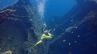 Menikmati Keindahan Bawah Laut Tulamben Bali