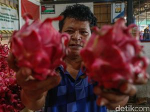Awalnya Tukang Kebun, Pria Ini Banting Setir Bisnis Buah Omzet Puluhan Juta Awalnya Tukang Kebun, Pria Ini Banting Setir Bisnis Buah Omzet Puluhan Juta