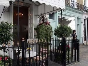 Resto Langganan Kerajaan Inggris Ditutup karena Dapurnya Banyak Tikus Resto Langganan Kerajaan Inggris Ditutup karena Dapurnya Banyak Tikus