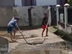 Warga Palembang Temukan Ular 3 Meter Usai Hujan Lebat