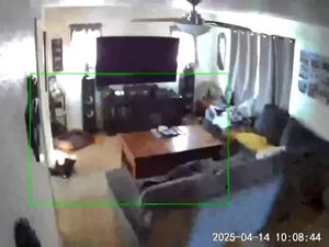 Rekaman CCTV Detik-detik Gempa M 5,2 Guncang California AS Rekaman CCTV Detik-detik Gempa M 5,2 Guncang California AS