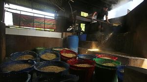 Harga Impor Kedelai Naik, Ini Efeknya ke Industri Tempe di Aceh