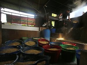 Harga Impor Kedelai Naik, Ini Efeknya ke Industri Tempe di Aceh Harga Impor Kedelai Naik, Ini Efeknya ke Industri Tempe di Aceh