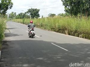 Kondisi Terkini Rumput Liar di Median Jalan Lingkar Mangin Kondisi Terkini Rumput Liar di Median Jalan Lingkar Mangin