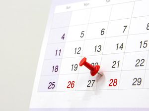 Daftar Libur Panjang Bulan Mei 2025, Catat Tanggal dan Rinciannya! Daftar Libur Panjang Bulan Mei 2025, Catat Tanggal dan Rinciannya!