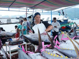 Tarif Trump dan Jalan Ganda Perikanan Indonesia