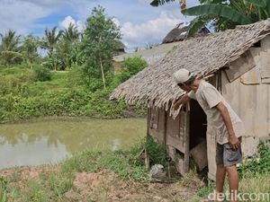 Viral Sapi Hasil Curian Dijagal di Lahan Penuh Bekas Miras dan Bungkus Sabu