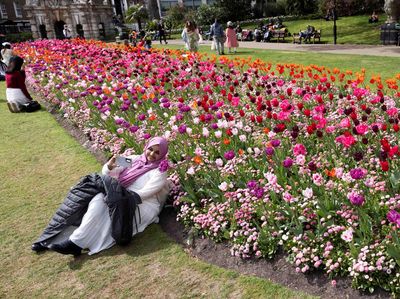 Melihat Indahnya Bunga Bermekaran di Victoria Embankment Gardens