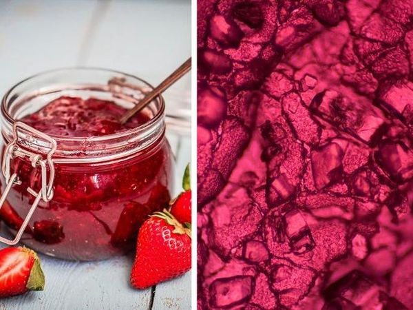 Mengejutkan! Begini Penampakan Benda Sehari-hari Dilihat Pakai Mikroskop