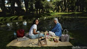 Menikmati Asrinya Taman Langsat yang Bakal Dibuka 24 Jam