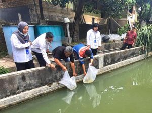 Patra Niaga Sumbagsel Inisiasi Program Budidaya Ikan Arwana Green Pino Patra Niaga Sumbagsel Inisiasi Program Budidaya Ikan Arwana Green Pino