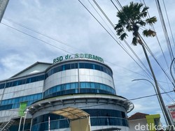 Belajar dari Kasus Bocah 3 Tahun di Jember yang Ususnya Dipenuhi Cacing