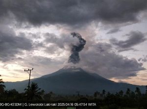 Gunung Lewotobi Laki-Laki Meletus, Suara Gemuruh Kejutkan Warga Gunung Lewotobi Laki-Laki Meletus, Suara Gemuruh Kejutkan Warga