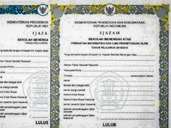 Cara Cek Keaslian Ijazah Online di PDDikti untuk SD, SMK, SMA/SMK-S1