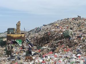 Pemulung Tak Khawatir Penghasilan Turun meski Ada Larangan AMDK Plastik Pemulung Tak Khawatir Penghasilan Turun meski Ada Larangan AMDK Plastik