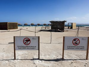 Potret Pantai Laut Merah yang Asri Terancam Proyek Pariwisata Mesir