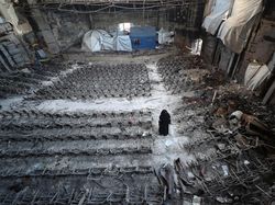 Universitas Islam Gaza Kembali Dibuka, Mahasiswa Belajar di Tengah Puing-puing