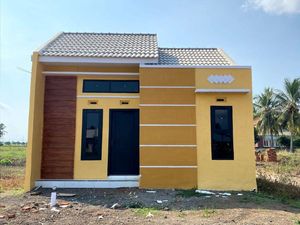 Deretan Rumah Mulai Rp 150 Juta-an di Genteng Banyuwangi Deretan Rumah Mulai Rp 150 Juta-an di Genteng Banyuwangi
