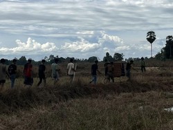 IRT di Bone Tewas Tersambar Petir Saat Ikat Kacang Panjang di Rumah Sawah