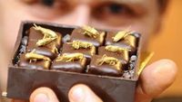 10 Cokelat dengan Rasa Paling Aneh yang Pernah Dibuat, Mau Cicip?