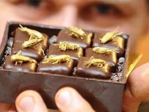 10 Cokelat dengan Rasa Paling Aneh yang Pernah Dibuat, Mau Cicip? 10 Cokelat dengan Rasa Paling Aneh yang Pernah Dibuat, Mau Cicip?