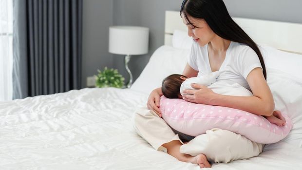 Ilustrasi Bantal Menyusui