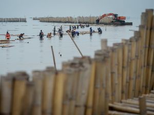 KKP Bongkar Sisa Pagar Laut di Tangerang KKP Bongkar Sisa Pagar Laut di Tangerang