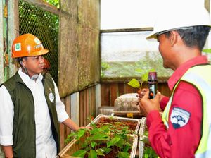 Menhut Cek PBPH Predikat Baik di Kalteng, yang Produktif tapi Jaga Alam Menhut Cek PBPH Predikat Baik di Kalteng, yang Produktif tapi Jaga Alam