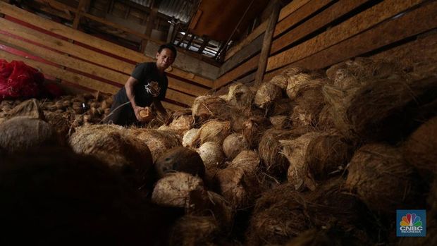 Penjualan kelapa parut di area Kramat Jati, Jakarta, Kamis (17/4/2025). (CNBC Indonesia/Muhammad Sabki)