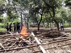Lokasi Judi Sabung Ayam Disisir Pakai Drone, 1 Bangunan Dibakar Lokasi Judi Sabung Ayam Disisir Pakai Drone, 1 Bangunan Dibakar