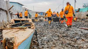 Sampah Menumpuk di Tanggul Pluit Dibersihkan