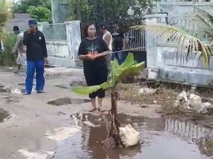 Warga Palangka Raya Tanam Pohon Pisang Bentuk Protes Jalan Setengah Diaspal
